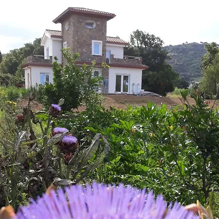 Il Sogno Bed & Breakfast