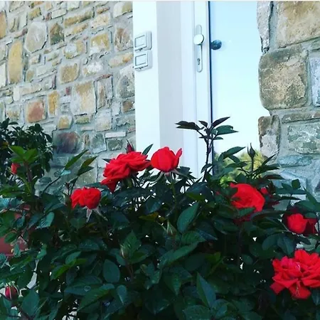 Il Sogno * Santa Maria di Castellabate