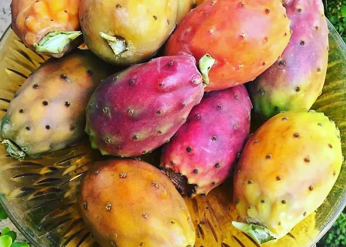 Il Sogno Nocleg ze śniadaniem 4*