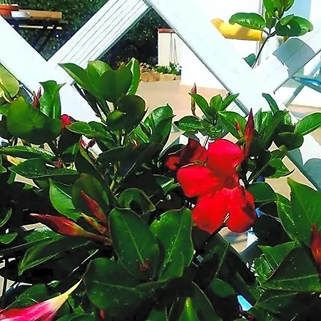 Bed & Breakfast Il Sogno 4*