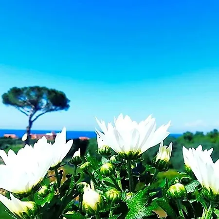 Il Sogno