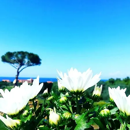 Il Sogno